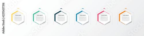 This simple infographic, primarily designed using hexagons, presents details in bullet points, covering 6 topics in total.