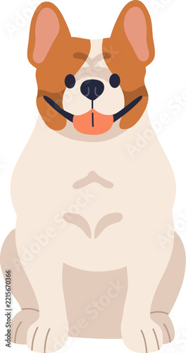 Dog front, French bulldog puppy, canine animal breed isolated on white. Frenc...