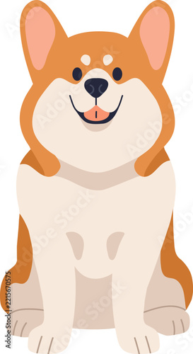 Corgi dog isolated on white. Happy puppy sitting. Funny Pembroke Corgi pet si...