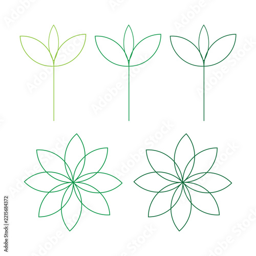 Leaf and Flower Shapes Elements