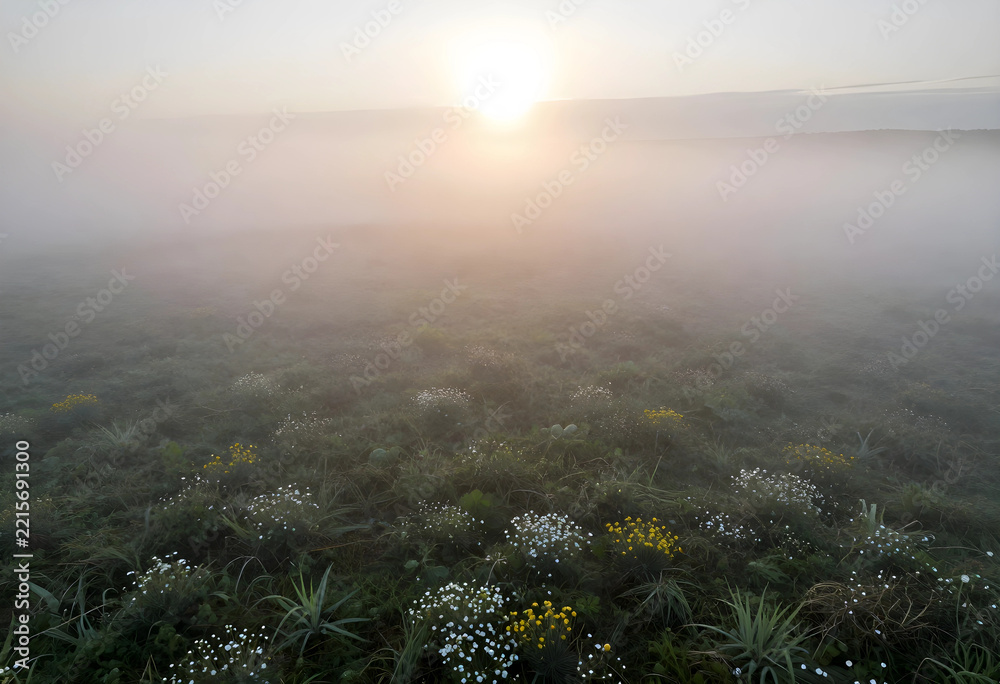 Naklejka premium Serenity and mindfulness, sunrise over a misty meadow with wildflowers in early morning light for wellness and mental health inspiration and peace