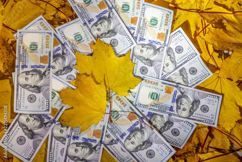 Autumn leaves arranged beside travel essentials and currency create a seasonal concept linking journeys, tourism, budgeting, and holiday planning. Golden foliage adds warm texture around banknotes