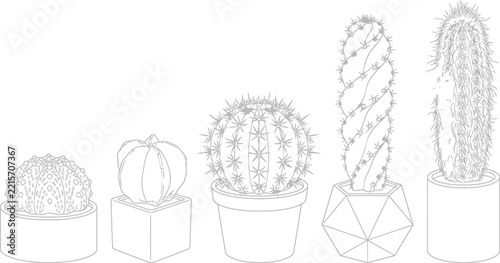 Set of botanical cactus line art illustrations in various ceramic pots