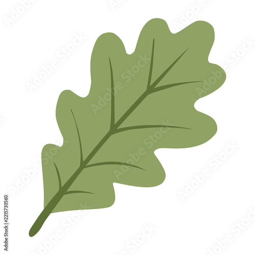 Oak leaf with green foliage in Flat Illustration for Botanical Theme