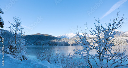 Winter trees and mountain reflection in the lake