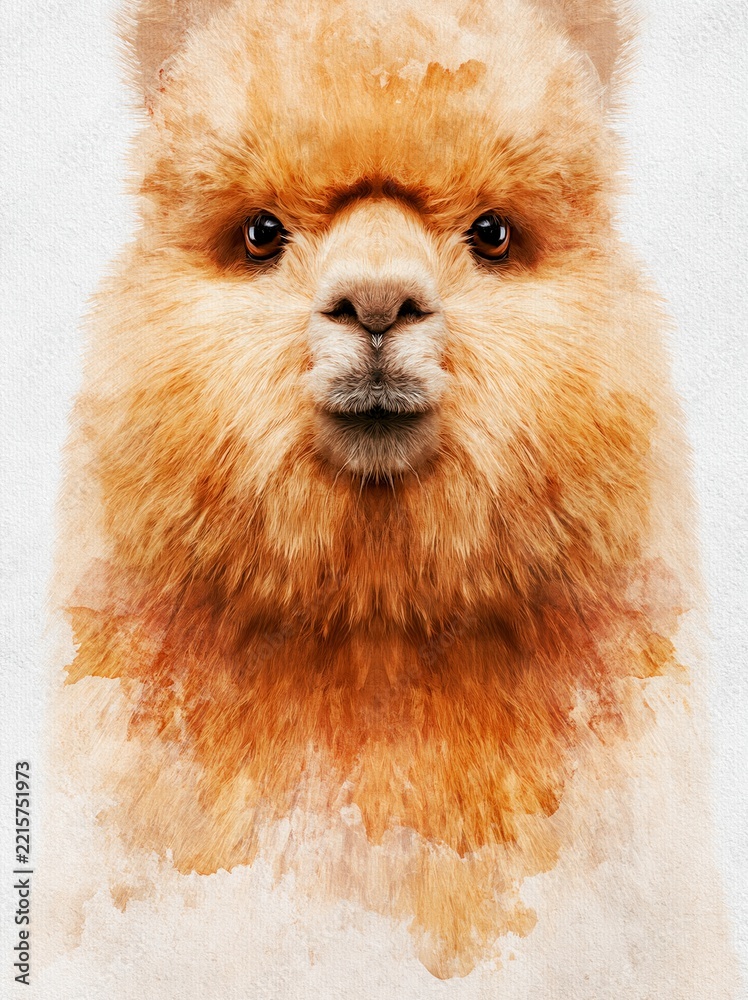 Fototapeta premium Portrait of a fluffy brown alpaca with watercolor textures