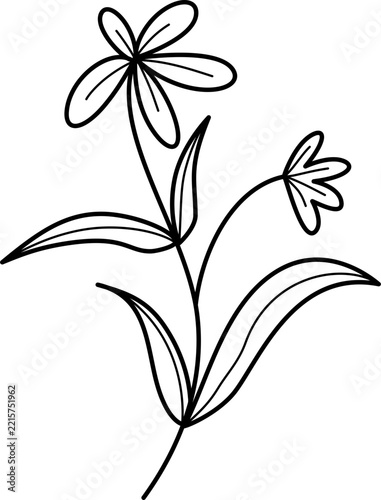 simple floral sketch
