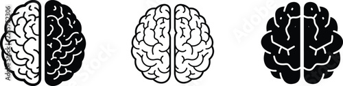Human brain icon set showing anatomical left and right hemispheres in