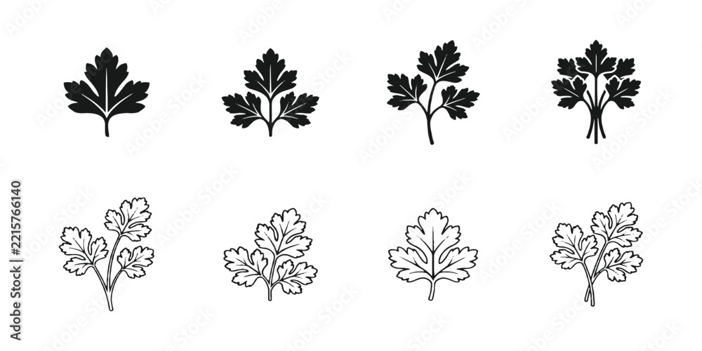 Fototapeta premium Fresh parsley leaf line art and silhouette icon set vector illustration isolated on white background.