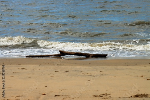 bord de l'océan