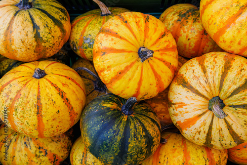 Bright pumpkins in a market during autumn harvest time