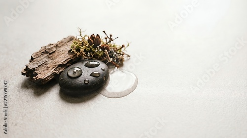 Textural Study Of Natural Materials With Liquid Elements