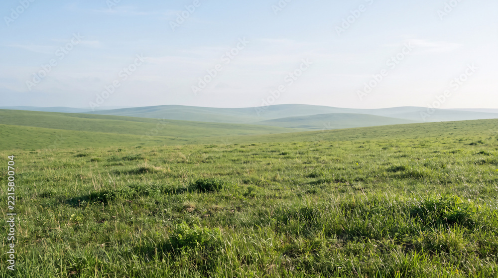 Fototapeta premium Vast rolling green grassland stretches far, sparse plants dot the plain under pale hazy soft daylight sky.