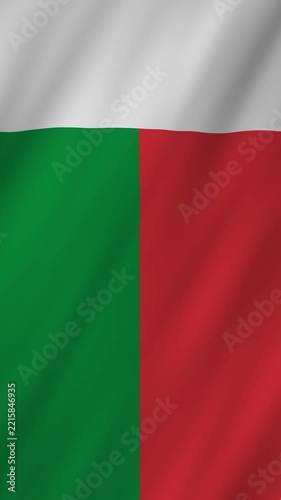 Madagascar flag waving in the wind 4K animation vertical video