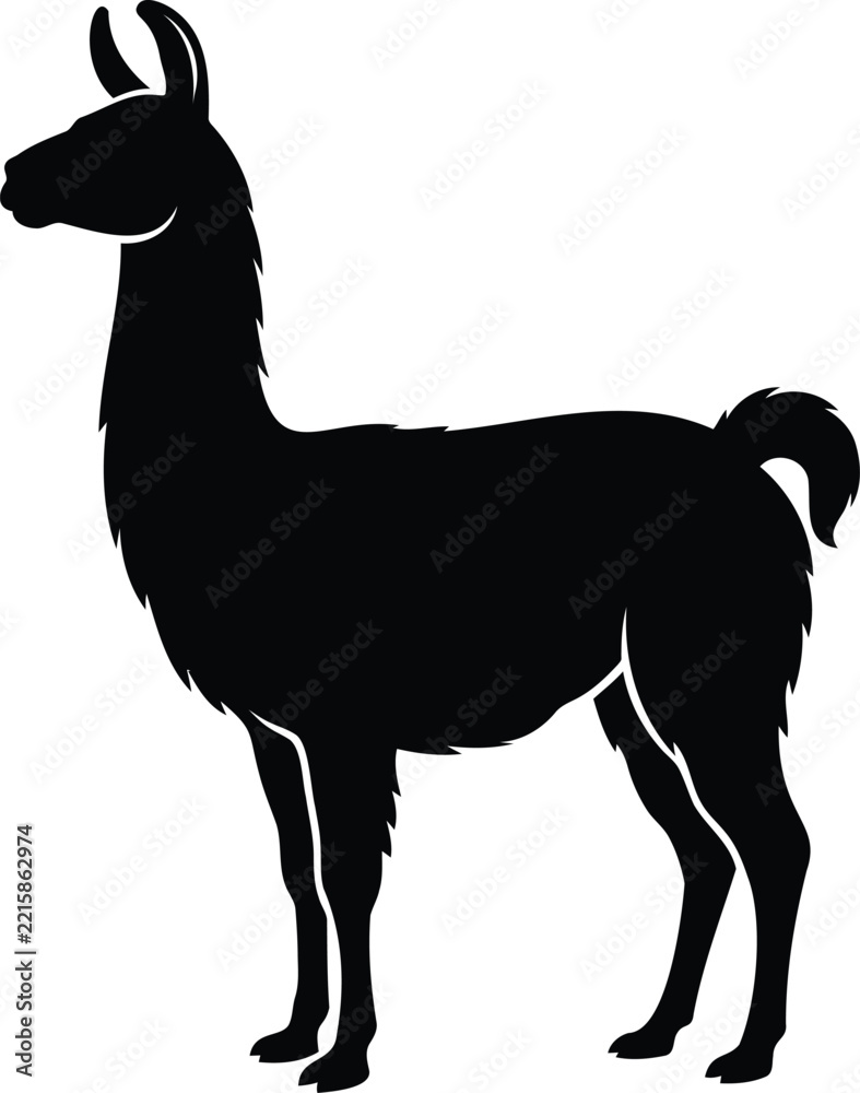 Fototapeta premium Black silhouette of a llama standing in profile, isolated on a white background, south american animal for nature and wildlife themes