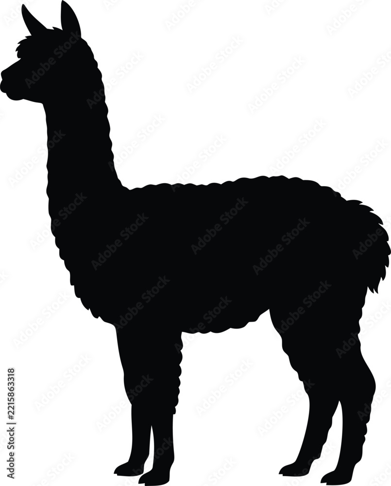 Fototapeta premium Black silhouette of a standing llama isolated on a white background, side view of a long-necked animal with fluffy wool and pointed ears