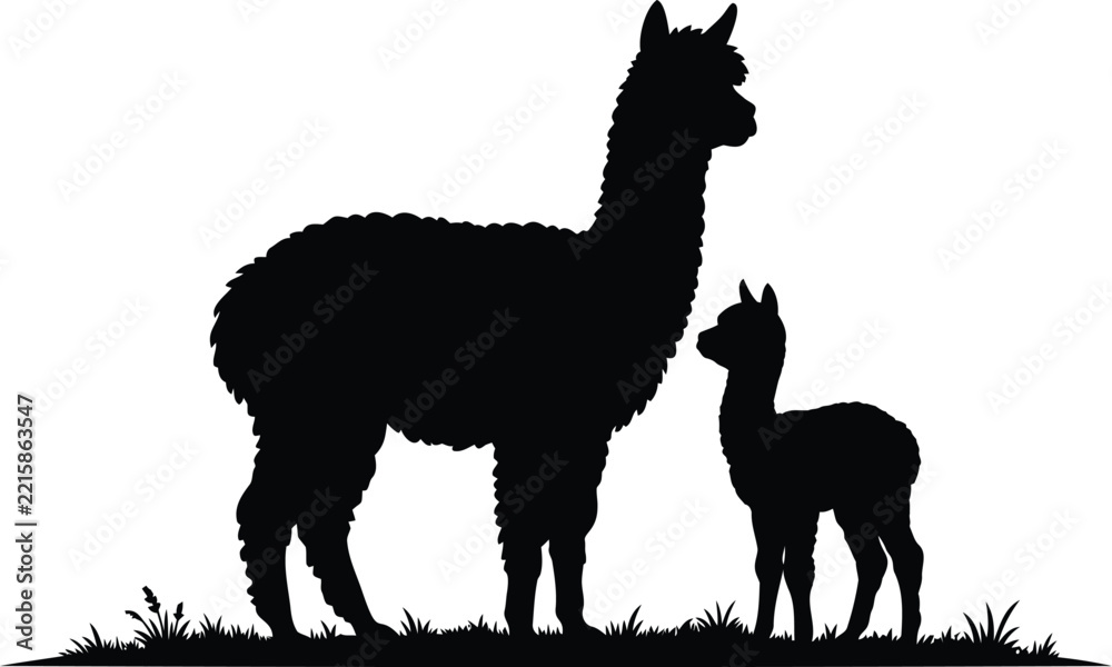 Fototapeta premium Black silhouette of an alpaca standing next to a small baby alpaca on a grassy ground isolated on a white background