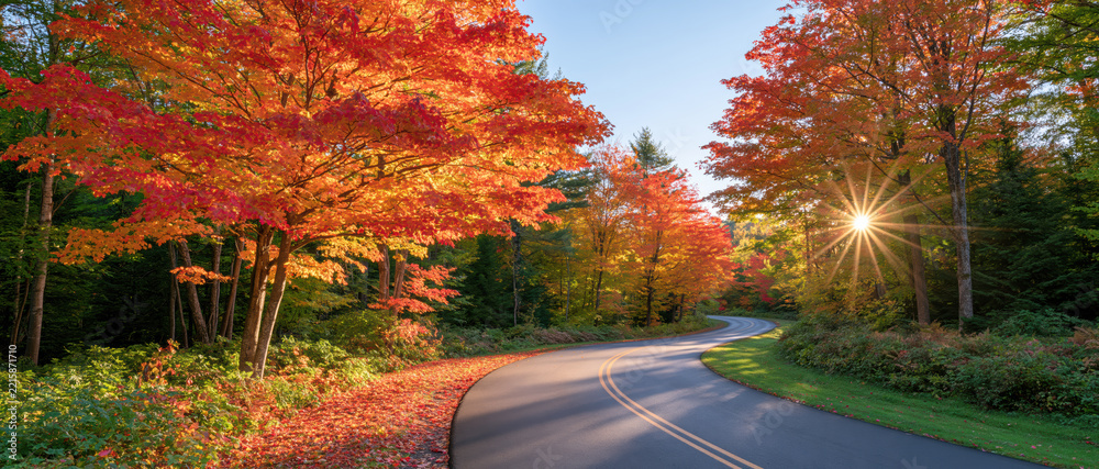 Fototapeta premium Panoramic view of winding road through vibrant autumn forest with sunburst and colorful leaves