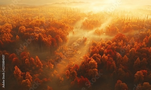Scenic aerial view of a vibrant autumn forest with golden and red leaves covering the landscape, warm rich tones creating a serene fall vibe, clean detailed style,
