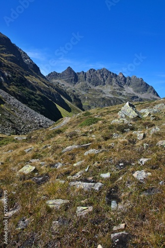 Austrian Alps - view of the Ochsental valley near the Silvretta reservoir