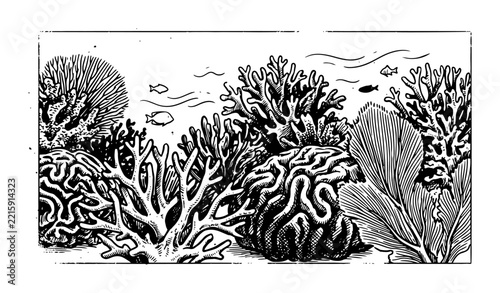 Coral reef with small fish in detailed engraving style
