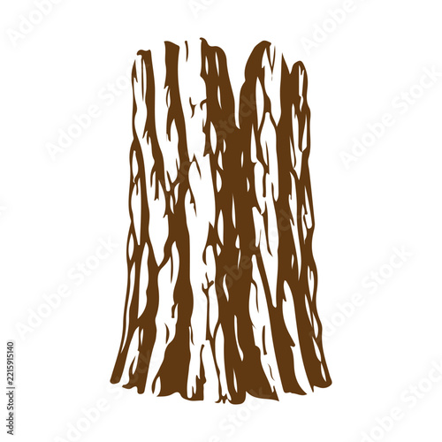 Brown tree bark texture and wood trunk vector illustration