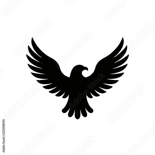 Silhouette of a Majestic Bird with Outstretched Wings.