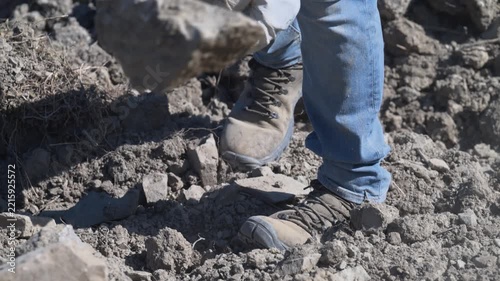 Agricoltura di Montagna, raccogliere i sassi a mano dai campi