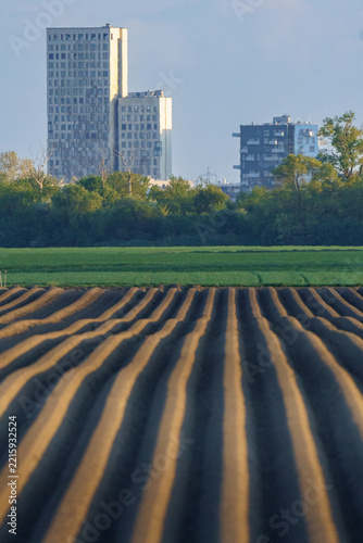 Tilled Agricultural Field Furrows Before City Skyline⁠