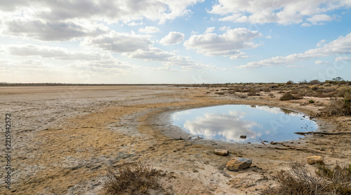 Shallow pool among cracked earth and scrub on a dried out desert lakebed