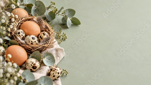 Brown and Quail Eggs in a Rustic Nest with Eucalyptus on Sage Green