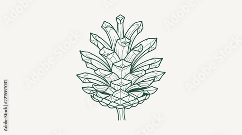 Pine Cone Line Art Illustration