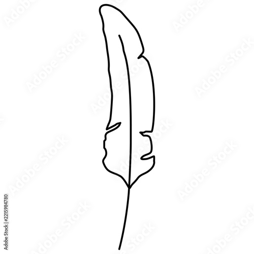 Hand-Drawn Feather Quill Line Art Illustration for Halloween Spooky Craft Designs