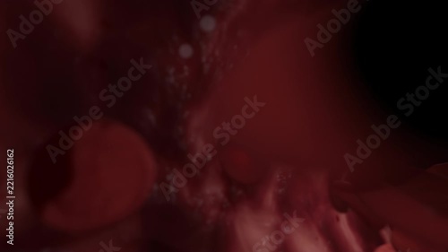 Dark Red Vein Interior With Drifting Blood Cells