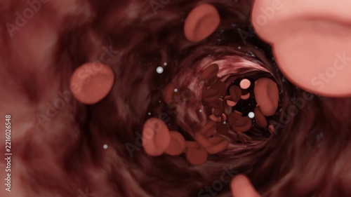 Inside a Dark Vein With Blood Cells Floating Through