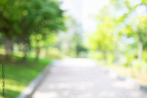 Abstract blurred background of walking path in green park with sun light