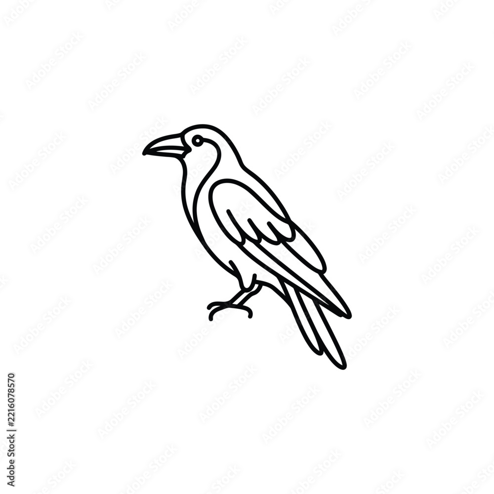 Fototapeta premium Minimalist line art illustration of a crow bird.