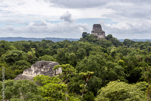 Mayan pyramid in the jungle at Tikal ruins in Guatamala