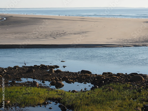 Ogunquit beach in Maine at low tide with heron