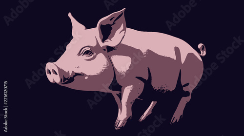 Cute pink pig