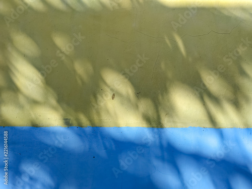Sunlight leaf shadow on yellow and blue wall background with copy space