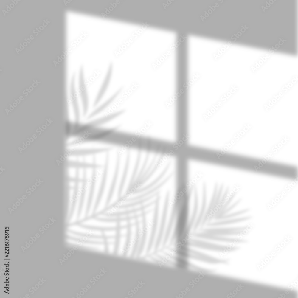 Fototapeta premium Realistic four pane window and tropical palm leaf shadow overlay on transparent background. Shadow effect blur for product mockups, branding, packaging, presentations, and natural background designs