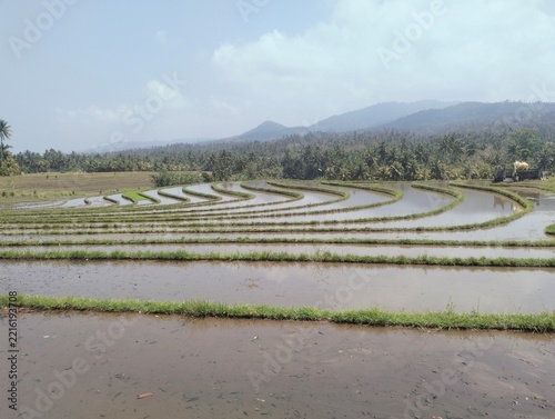 Beautiful rice terrace, Soka, Tabanan, Bali, Indonesia