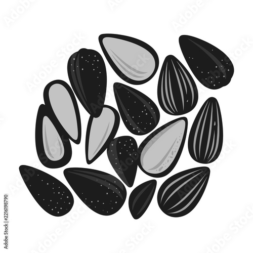 Black and White Sunflower Seeds Scattered on White Background with Striped Shells
