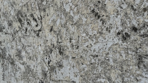Weathered white and gray concrete wall texture with cracked, peeling, and distressed surface details. Neutral aged background suitable for architectural, industrial, grunge, vintage, and abstract