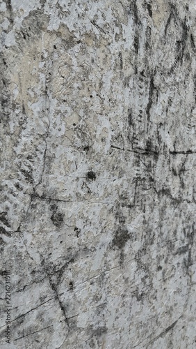 Weathered white and gray concrete wall texture with cracked, peeling, and distressed surface details. Neutral aged background suitable for architectural, industrial, grunge, vintage, and abstract