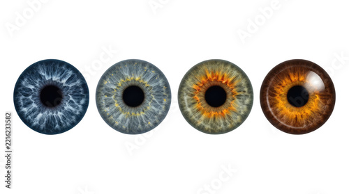 Four detailed d rendered graphic representations of human irises with pupils arranged horizontally showing different eye colors and intricate iris patterns against a clean isolated white background