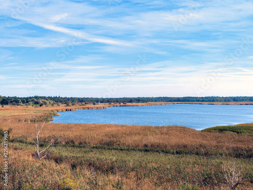 Radelsee Nature Reserve with Coastal Wetlands and Reed Beds in Rostock (Mecklenburg-Western Pomerania, Germany)