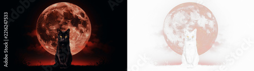 A black cat sitting in front of a large, glowing red full moon at night, creating a mystical and atmospheric silhouette isolated on transparent background