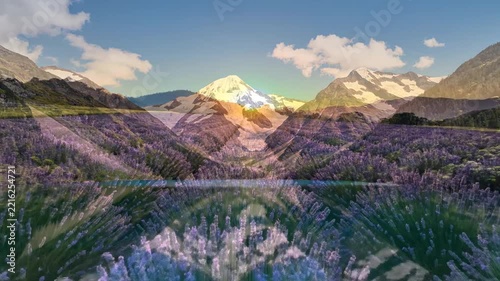 Scenic Landscapes Collection with Tropical Beach, Waterfall, and Lavender Field
